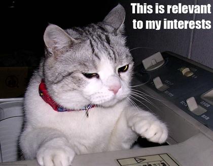 funny pics. Funny Computer Cat